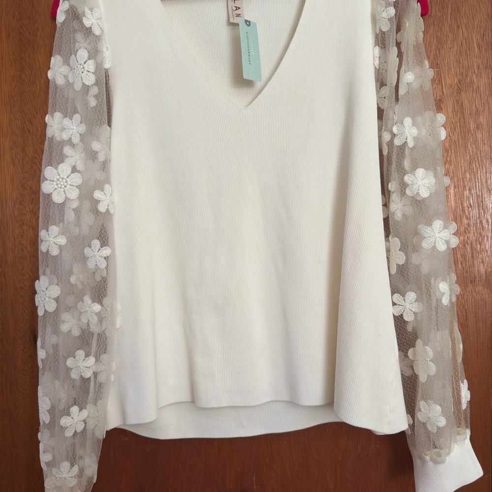 Dolan sheer appliquéd sleeve sweater